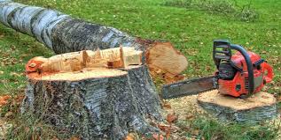Best Tree Preservation Services  in Toledo, IL